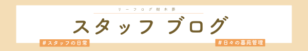 リーフログ樹木葬_スタッフブログ