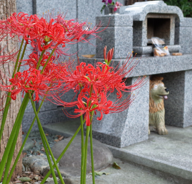 船堀 法隆寺紹介10