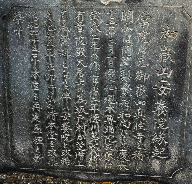 溝の口 安養院紹介2