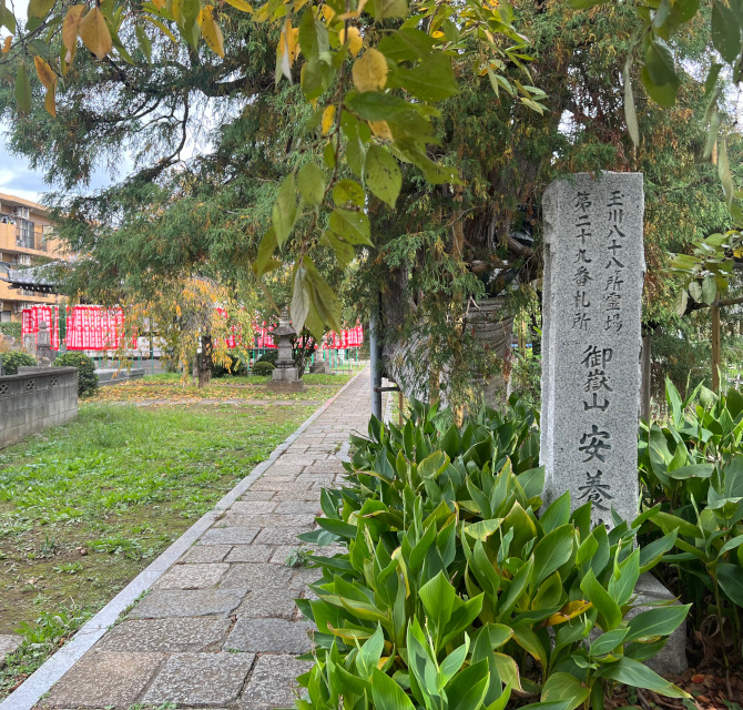 溝の口 安養院紹介1